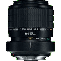 Canon MP-E65mm f/2.8 1-5 x Macro